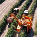 Confira como ocorre a evolução das ferramentas agrícolas!