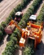 Confira como ocorre a evolução das ferramentas agrícolas!