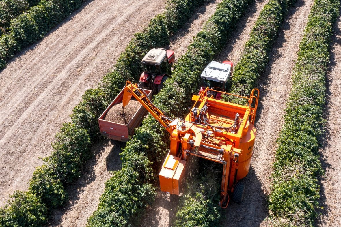 Confira Como Ocorre A Evolução Das Ferramentas Agrícolas