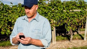 Aplicativos de agricultura que você precisa ter no seu celular
