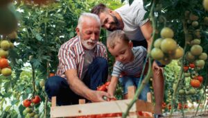 agricultura familiar