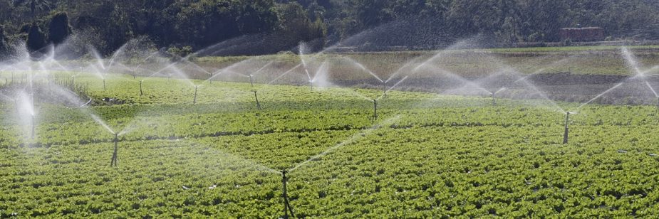 Agricultura irrigada