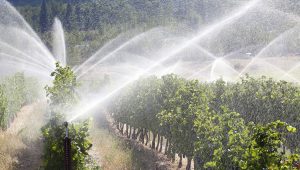 Projeto de irrigação