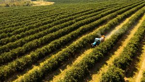 plano abc agricultura