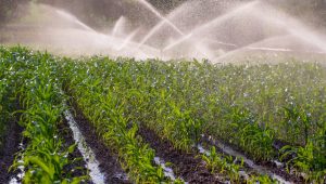 reuso de água na agricultura