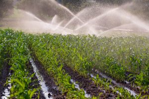 reuso de água na agricultura