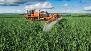 defensivos agrícolas