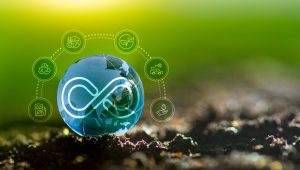 economia circular no campo
