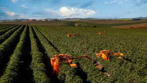 maquinas-agricolas-jacto