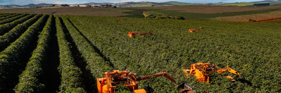 maquinas-agricolas-jacto