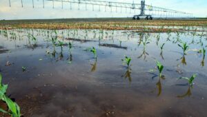 Os fenômenos climáticos geram preocupações diferentes em produtores situados em diversas partes do Brasil.