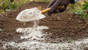 3 tipos de solo calcário e suas principais características