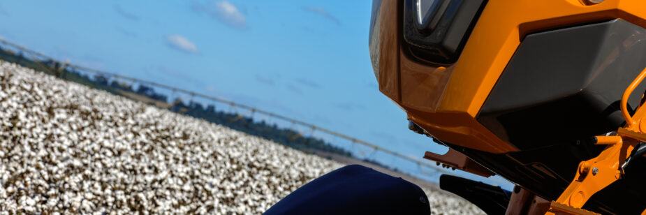 Manejo solo qualidade algodão