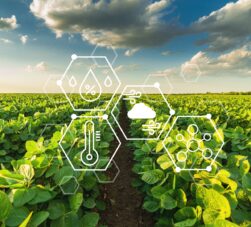 Benefícios da agricultura de precisão