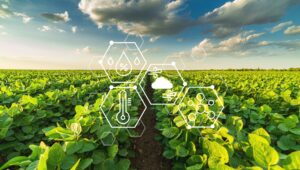 Benefícios da agricultura de precisão