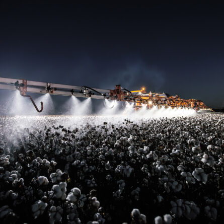 Uniport 2530 pulverizando a noite em uma plantação de algodão.