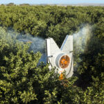 Pulverizador para citrus